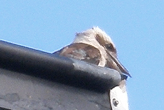 PC230189.JPG