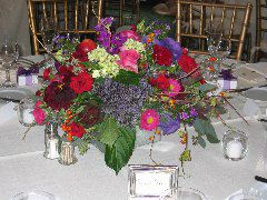100-0087_AUT